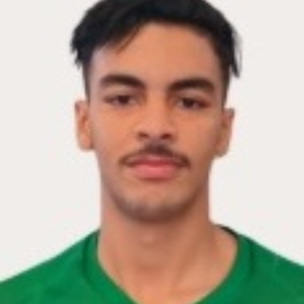 DRISS ZERHOUNI